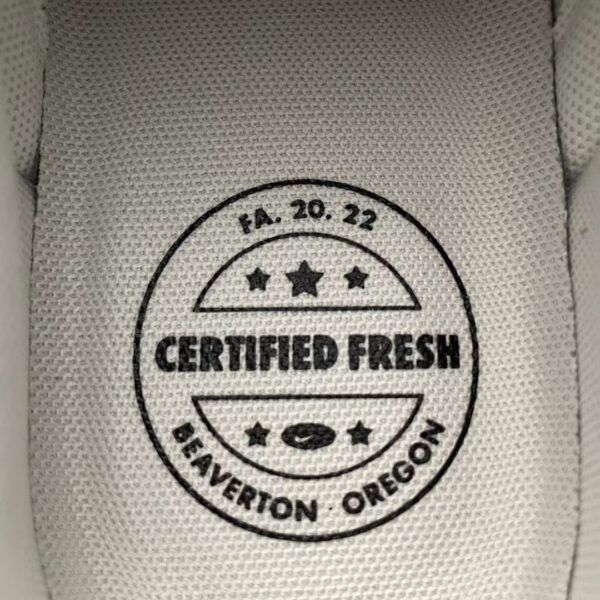 Stussy X Dunk SB Low Cream Black