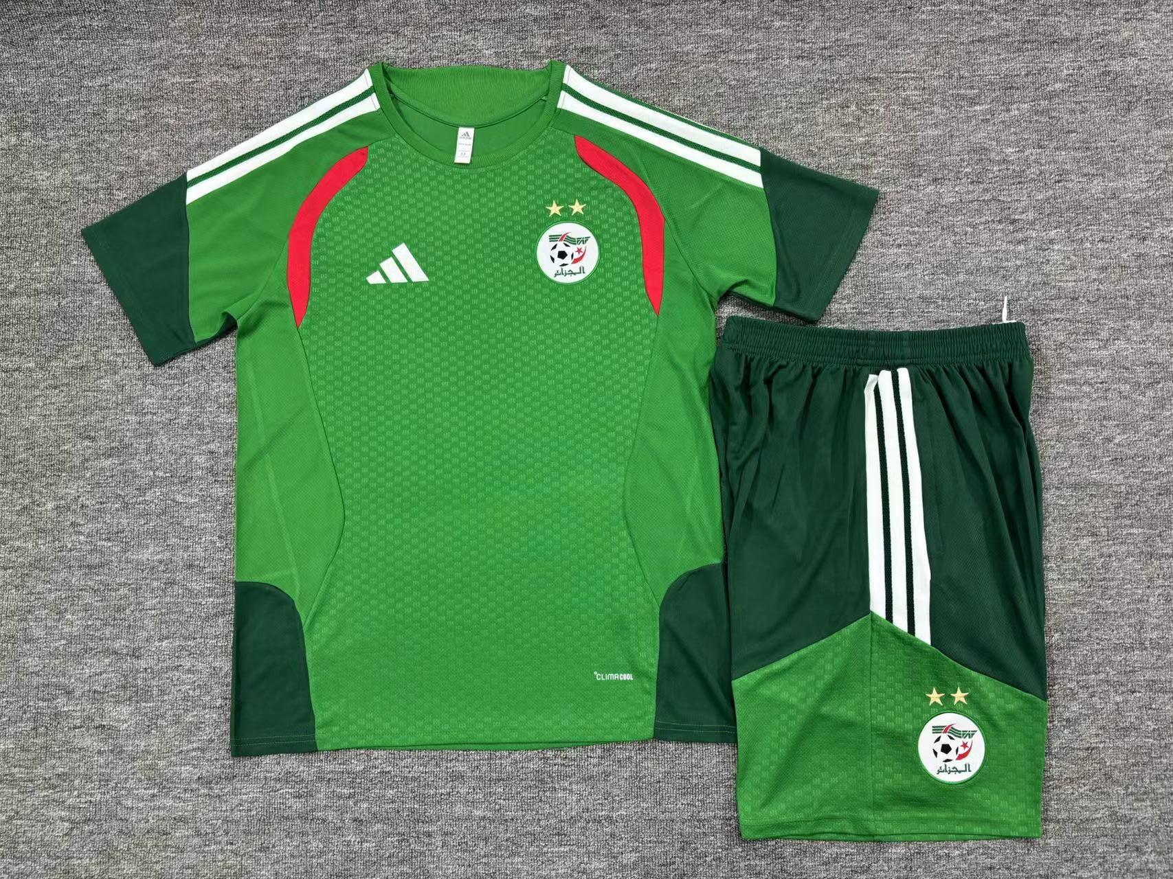 Algeria National Team 2026 Training Shorts Set - Green - Jersey Teams