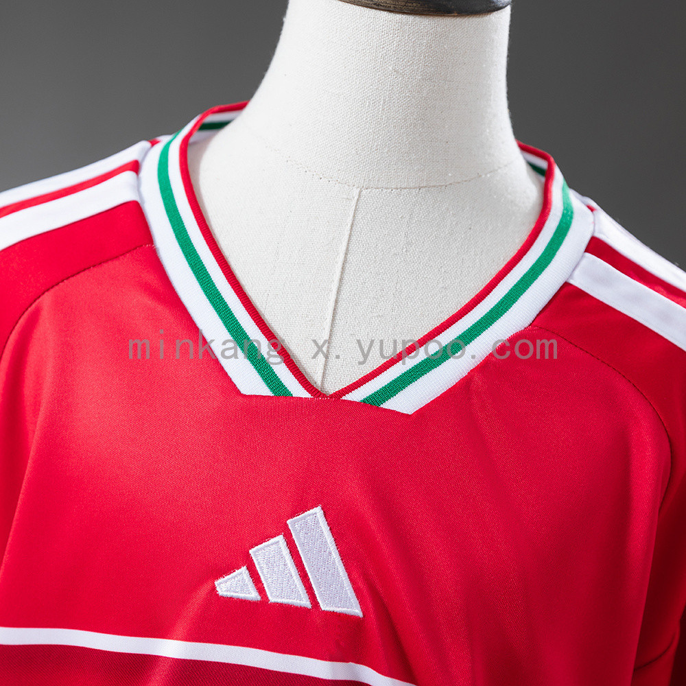 Wales National Team 2026 World Cup Home Youth Kit - Children Soccer Set - Jersey Teams
