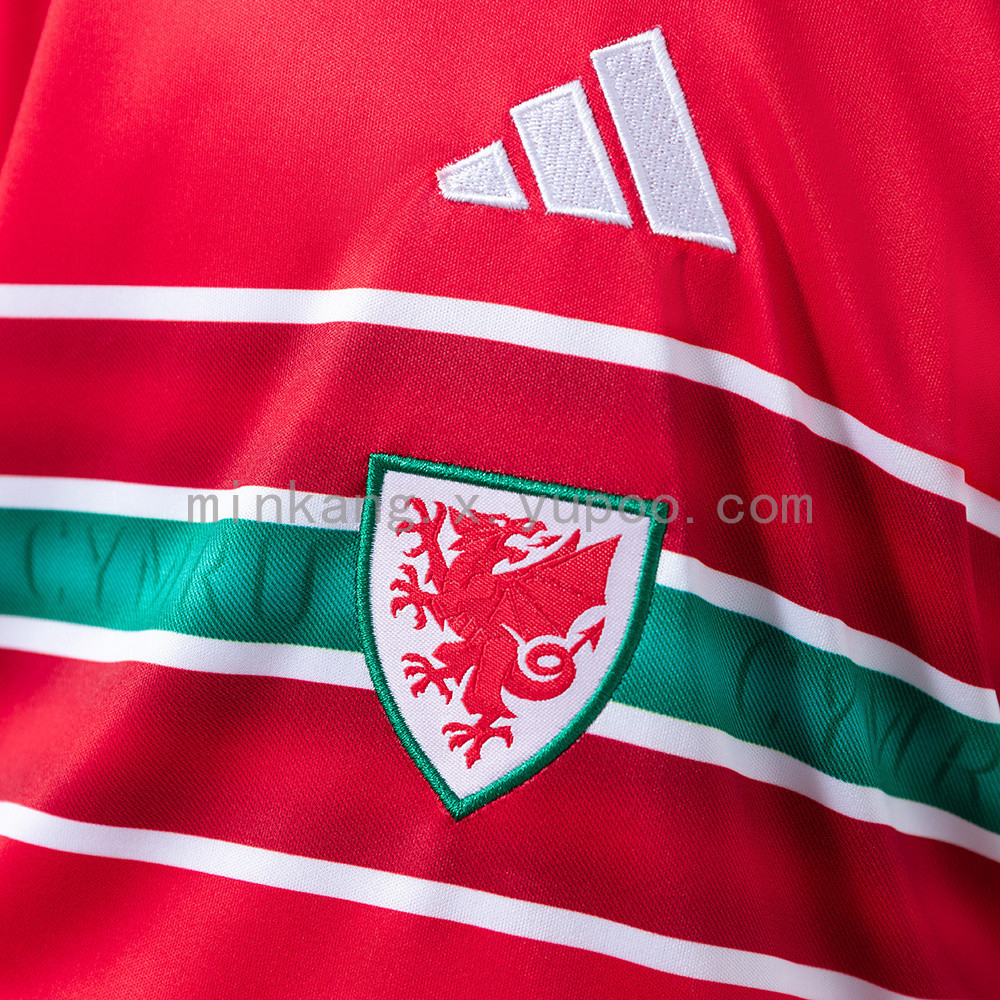 Wales National Team 2026 World Cup Home Youth Kit - Children Soccer Set - Jersey Teams