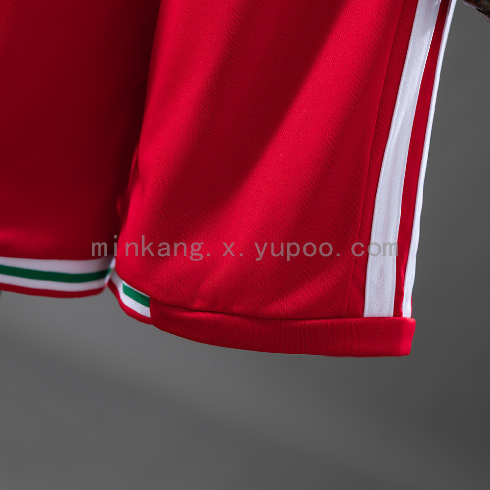 Wales National Team 2026 World Cup Home Youth Kit - Children Soccer Set - Jersey Teams